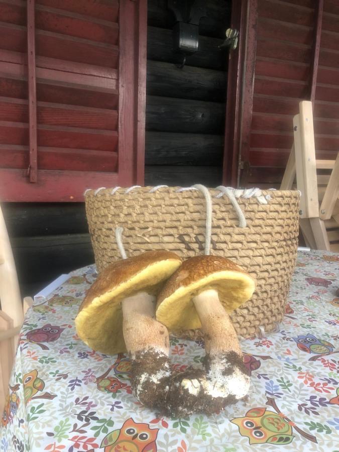 Tilia Cottage Banjska Stena 米特洛瓦克 外观 照片
