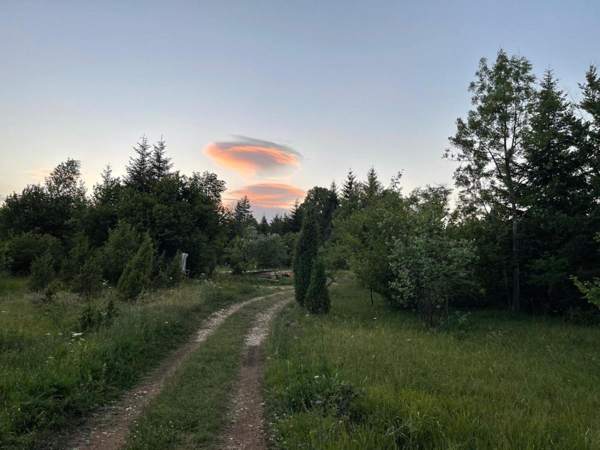 Tilia Cottage Banjska Stena 米特洛瓦克 外观 照片