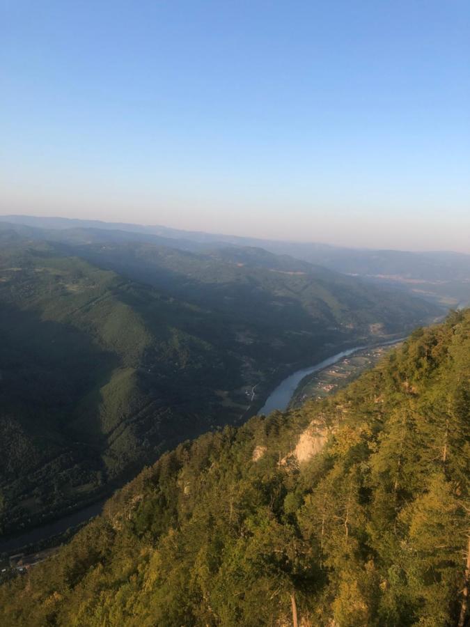 Tilia Cottage Banjska Stena 米特洛瓦克 外观 照片