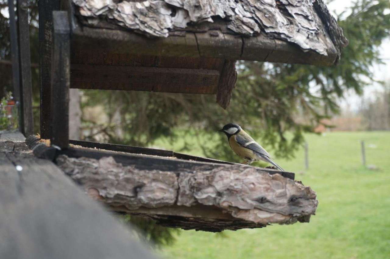 Tilia Cottage Banjska Stena 米特洛瓦克 外观 照片