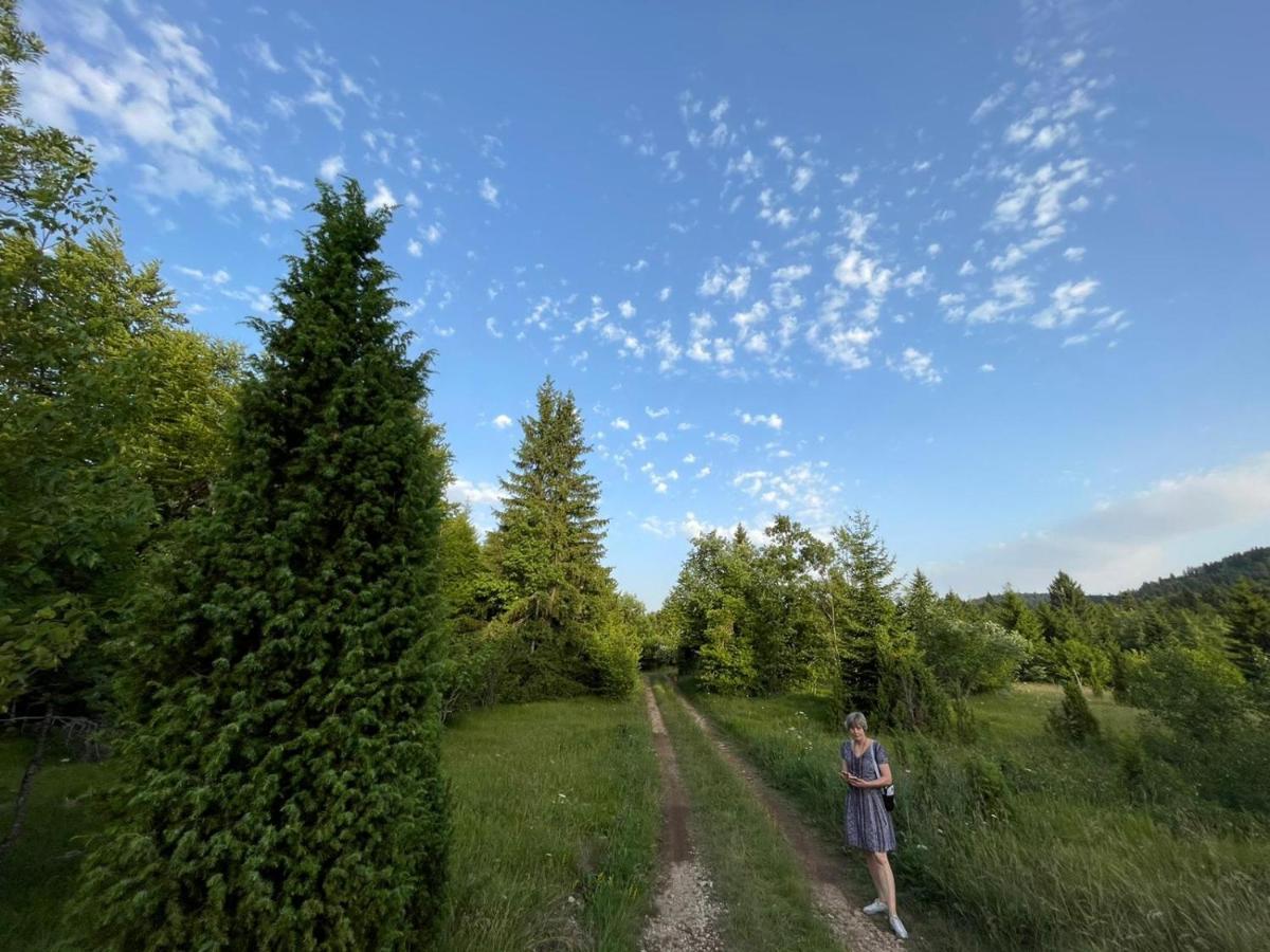 Tilia Cottage Banjska Stena 米特洛瓦克 外观 照片