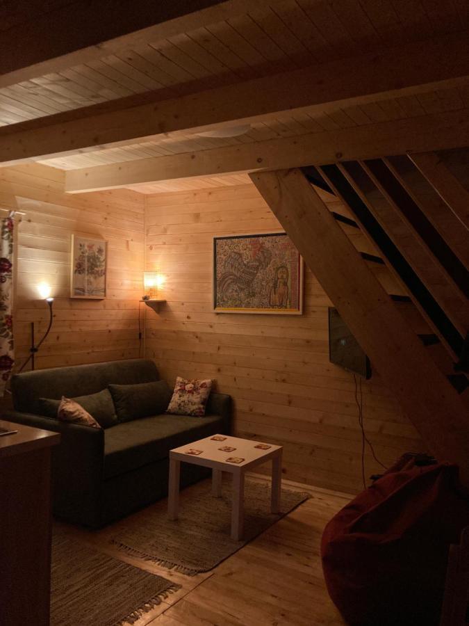 Tilia Cottage Banjska Stena 米特洛瓦克 外观 照片